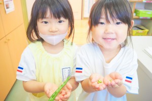 P7141359加工あり