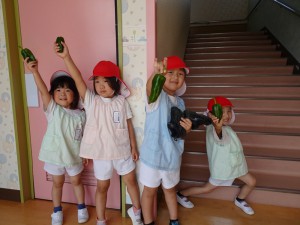 0628ピーマン収穫