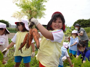 SNY03045