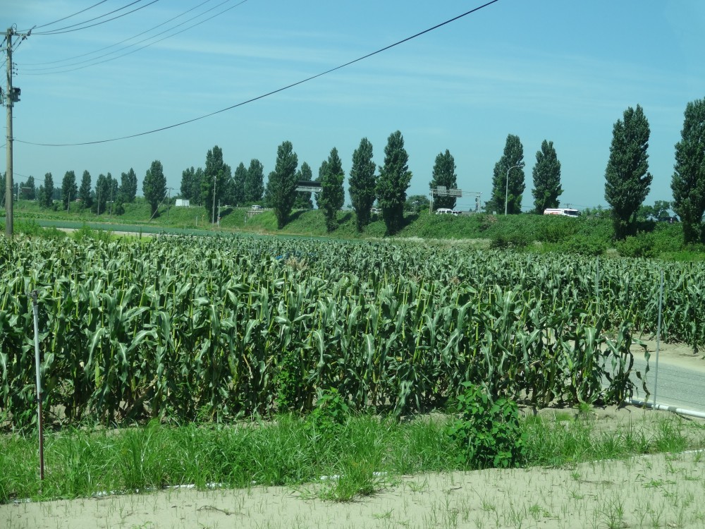 DSC01758
