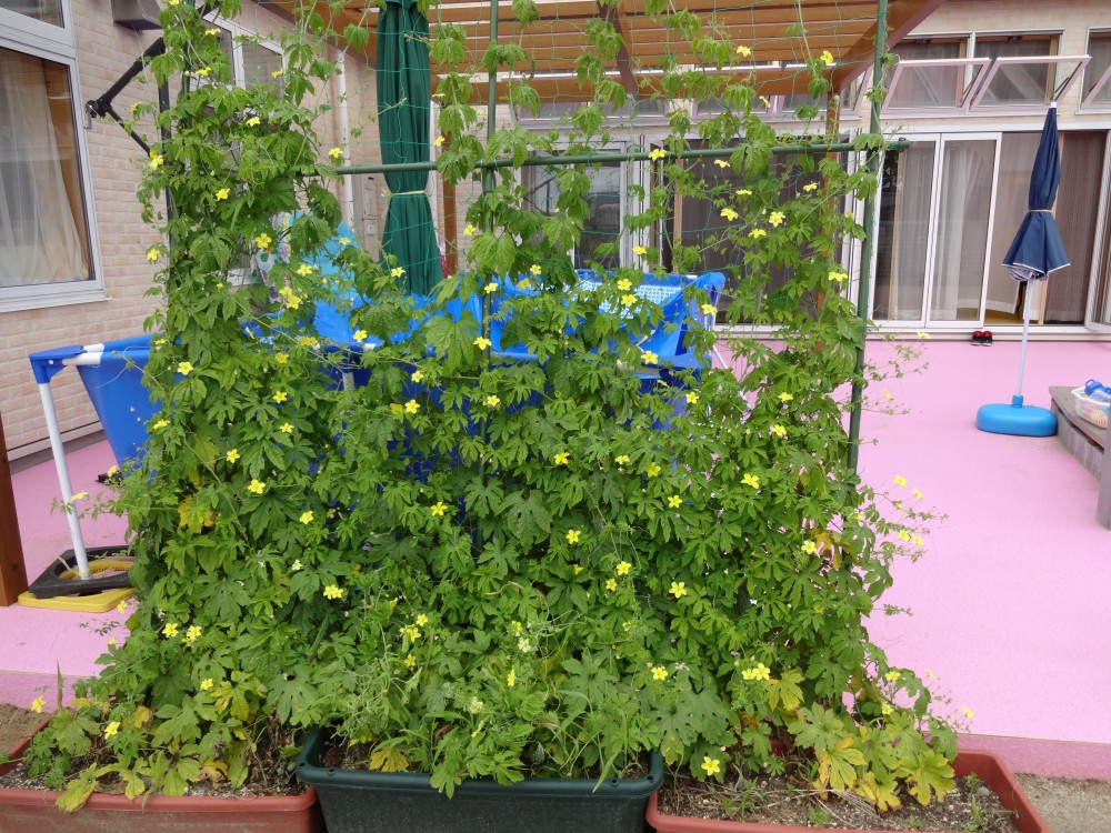 DSC01870